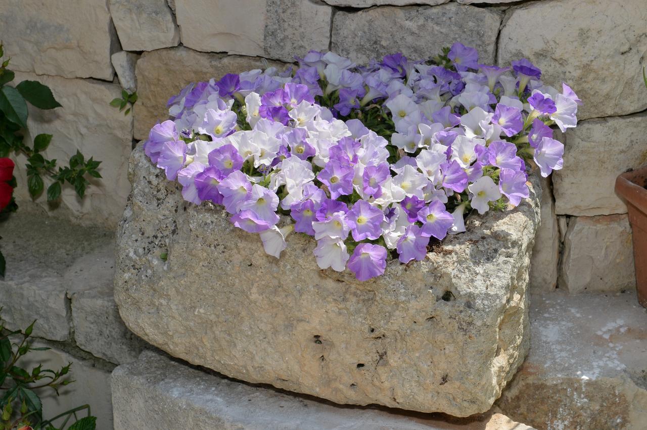 Bed and Breakfast Astra Alberobello Zewnętrze zdjęcie