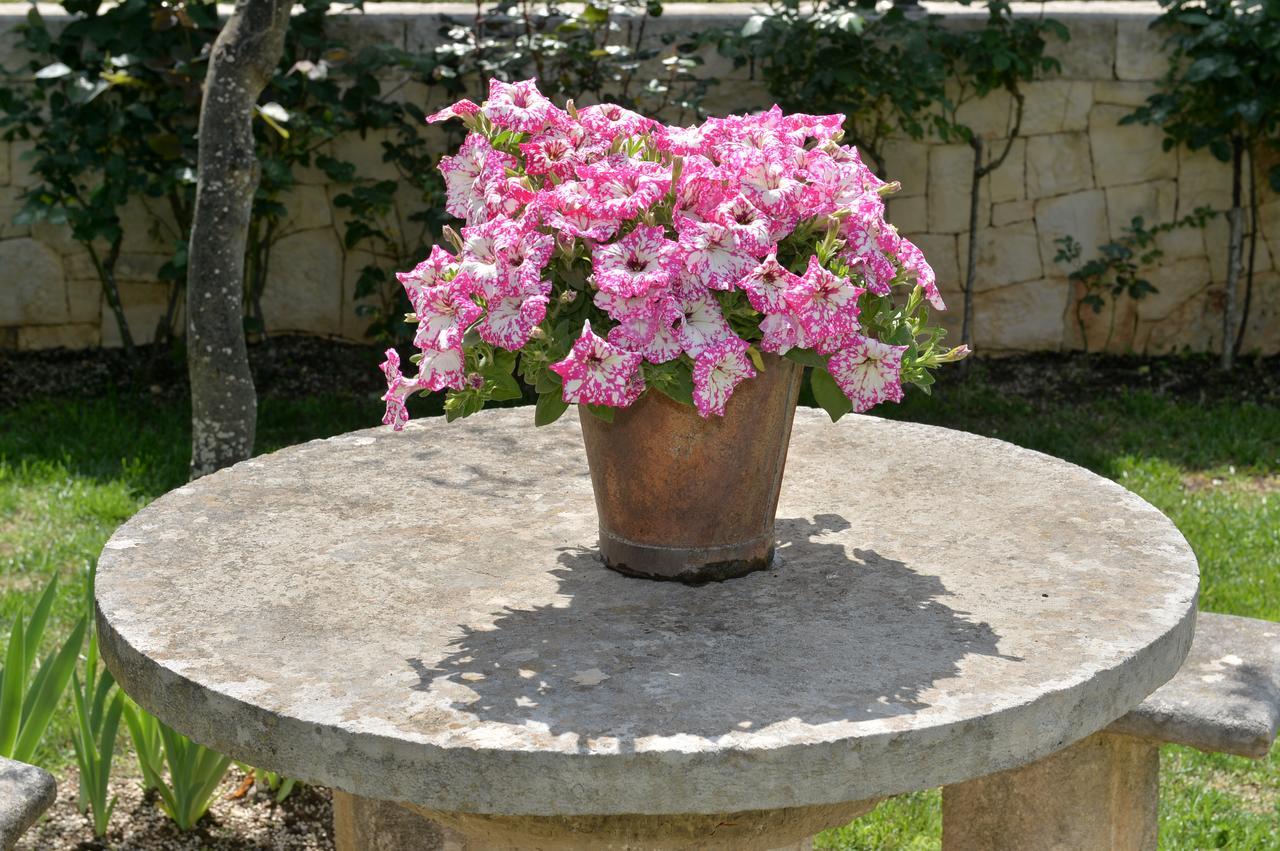 Bed and Breakfast Astra Alberobello Zewnętrze zdjęcie